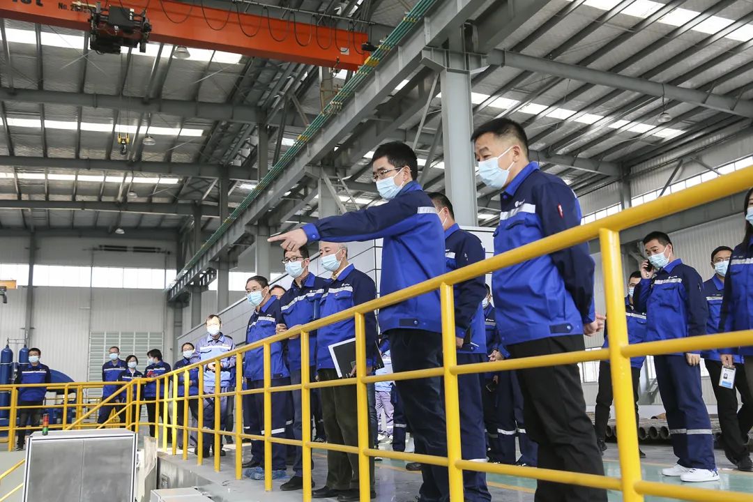 8711656987291583.jpg 3.jpg