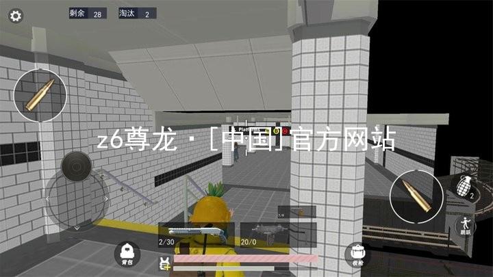 z6尊龙·[中国]官方网站